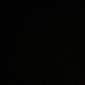 Meet your Posher, Audrey